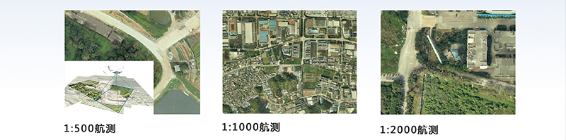 http://www.ym196.net