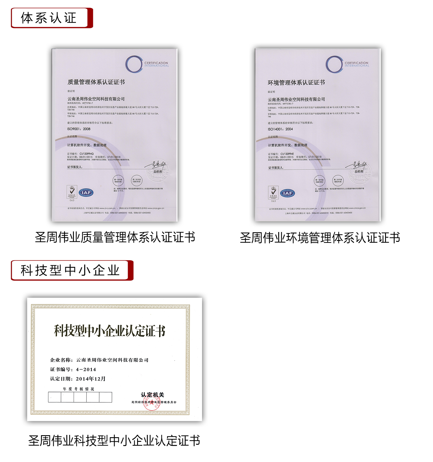 http://www.ym196.net